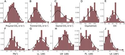 Identification of genetic loci and candidate genes regulating photosynthesis and leaf morphology through genome-wide association study in Brassica napus L.